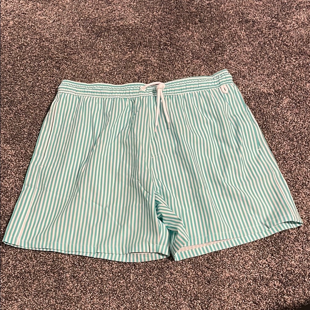 Striped Mint Green Men’s Shorts